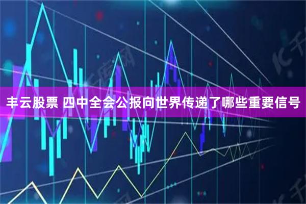丰云股票 四中全会公报向世界传递了哪些重要信号