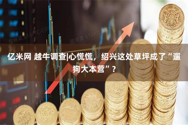 亿米网 越牛调查|心慌慌，绍兴这处草坪成了“遛狗大本营”？