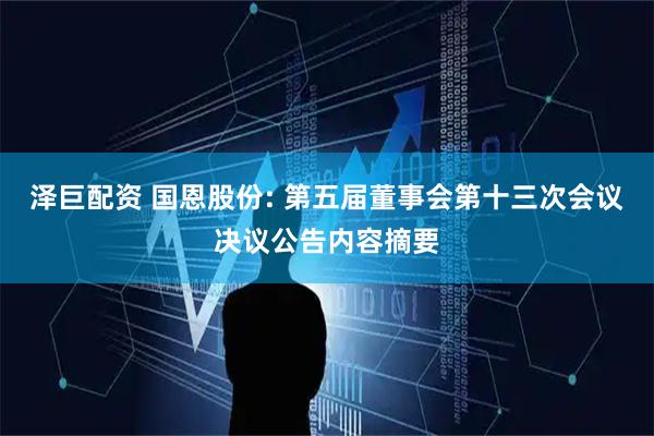 泽巨配资 国恩股份: 第五届董事会第十三次会议决议公告内容摘要