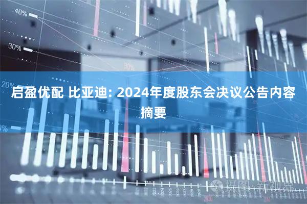 启盈优配 比亚迪: 2024年度股东会决议公告内容摘要